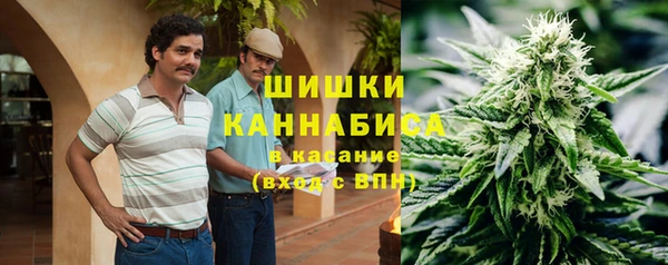 PSILOCYBIN Белокуриха