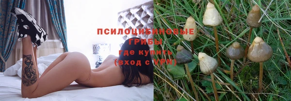 ECSTASY Баксан
