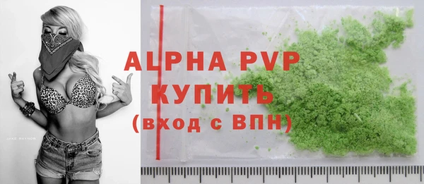 PSILOCYBIN Белокуриха