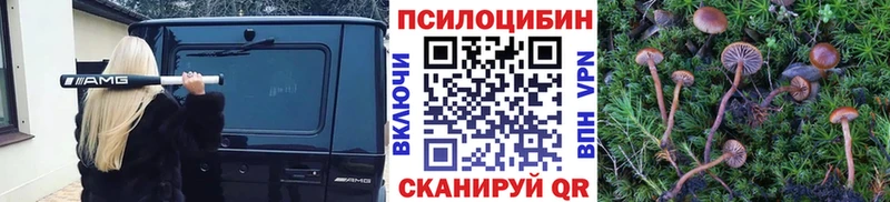 Псилоцибиновые грибы прущие грибы  Олёкминск 